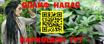 СК Моздок
